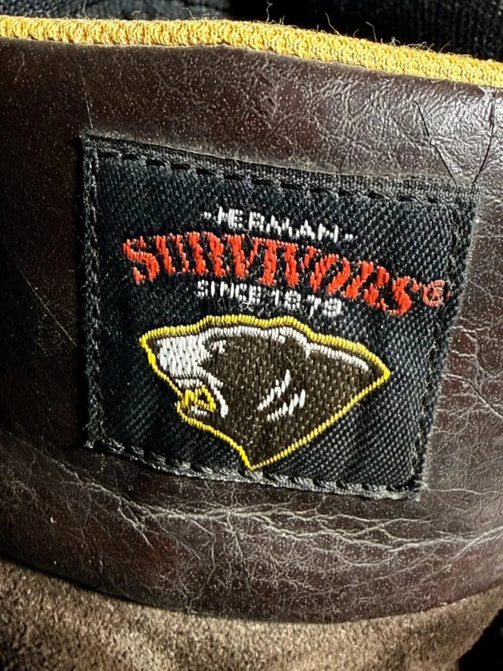 Herman Survivor herman survivor